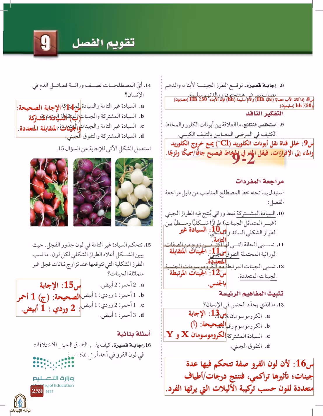 صفحة 259