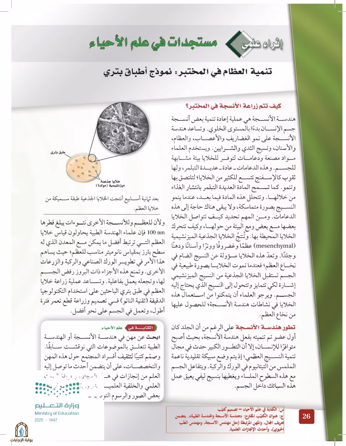 صفحة 26