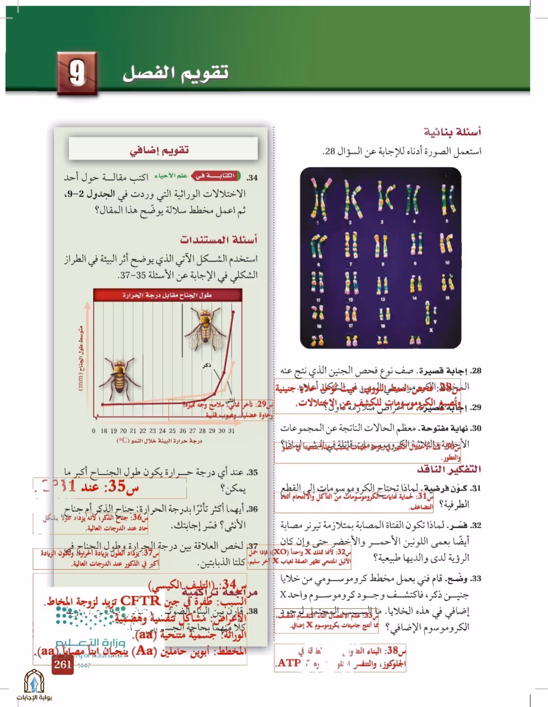 صفحة 261