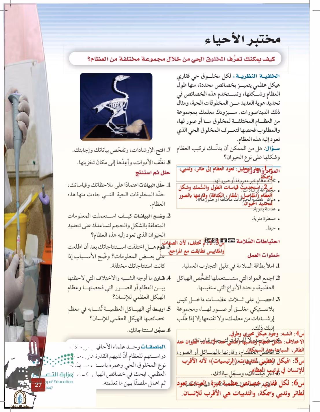 صفحة 27