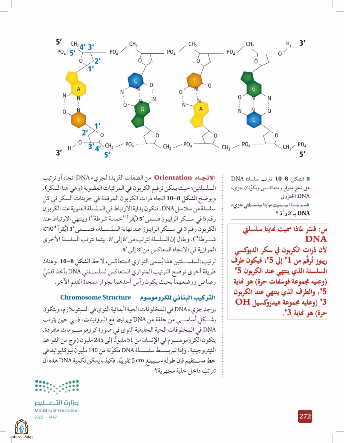 صفحة 272
