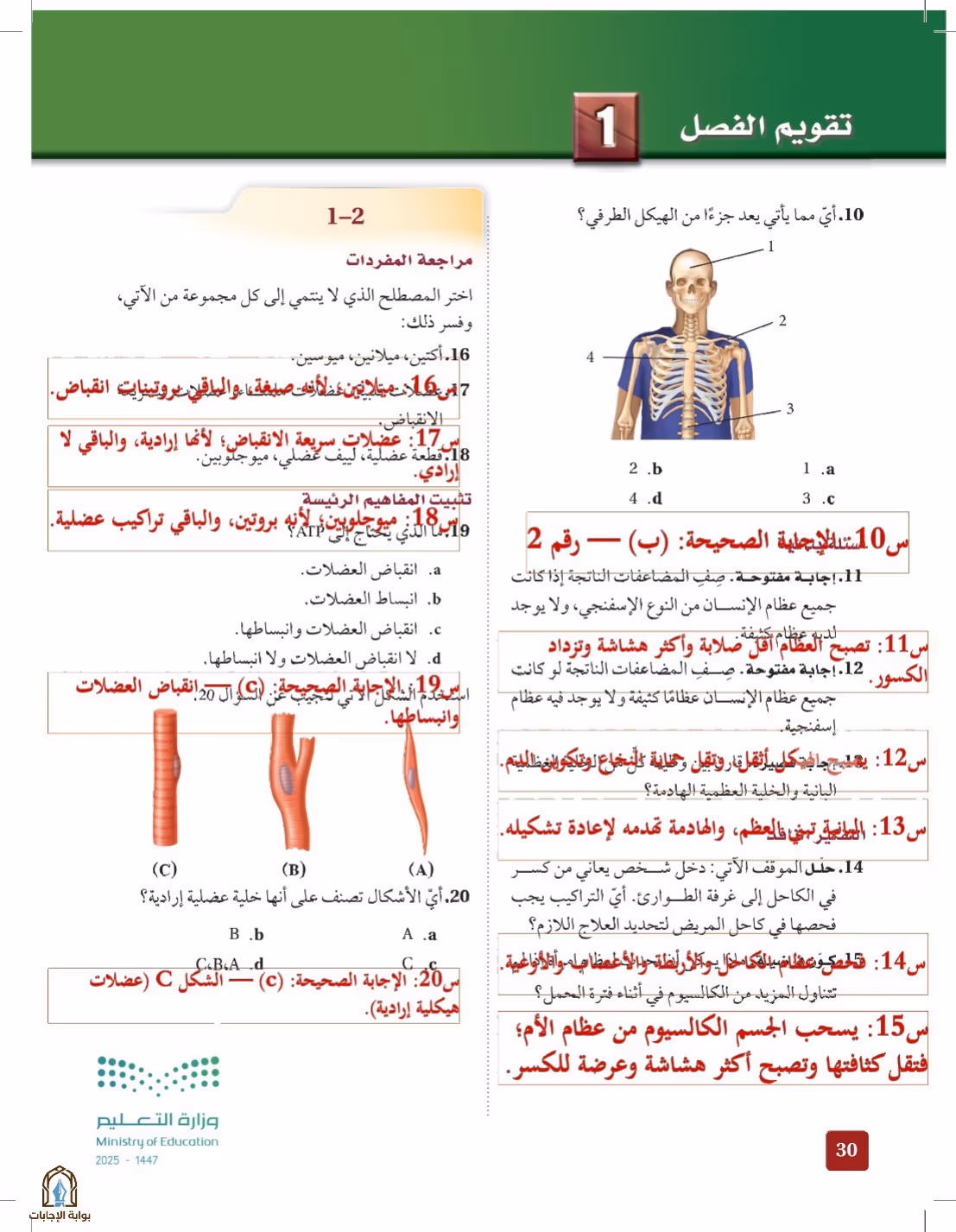 صفحة 30