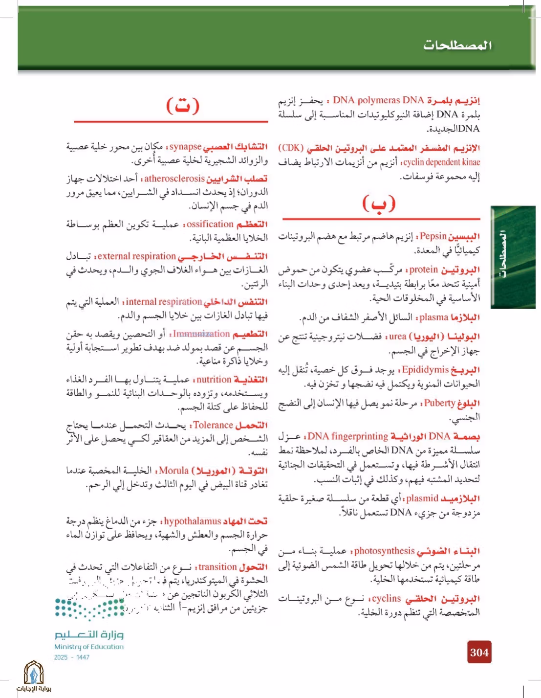 صفحة 304