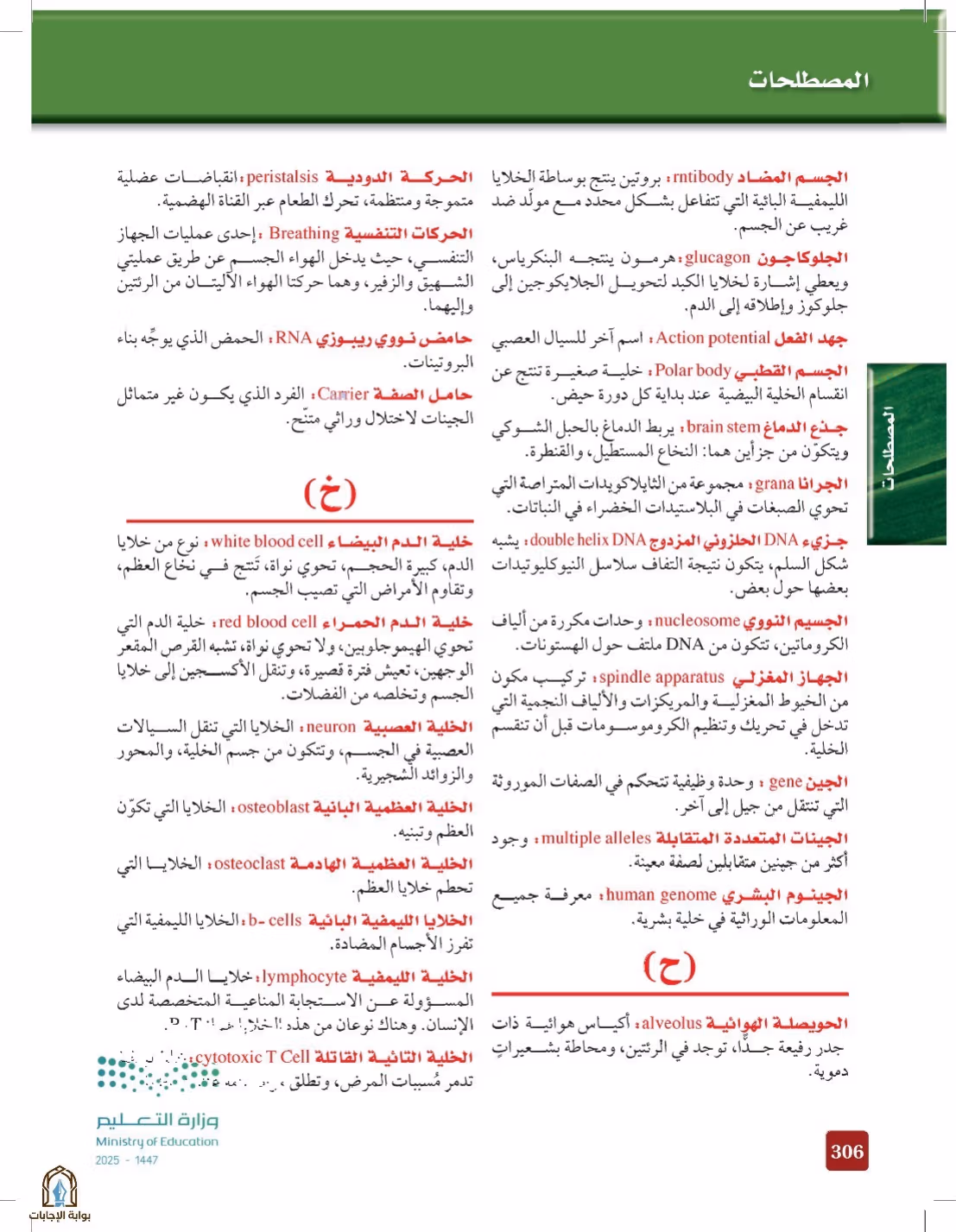صفحة 306