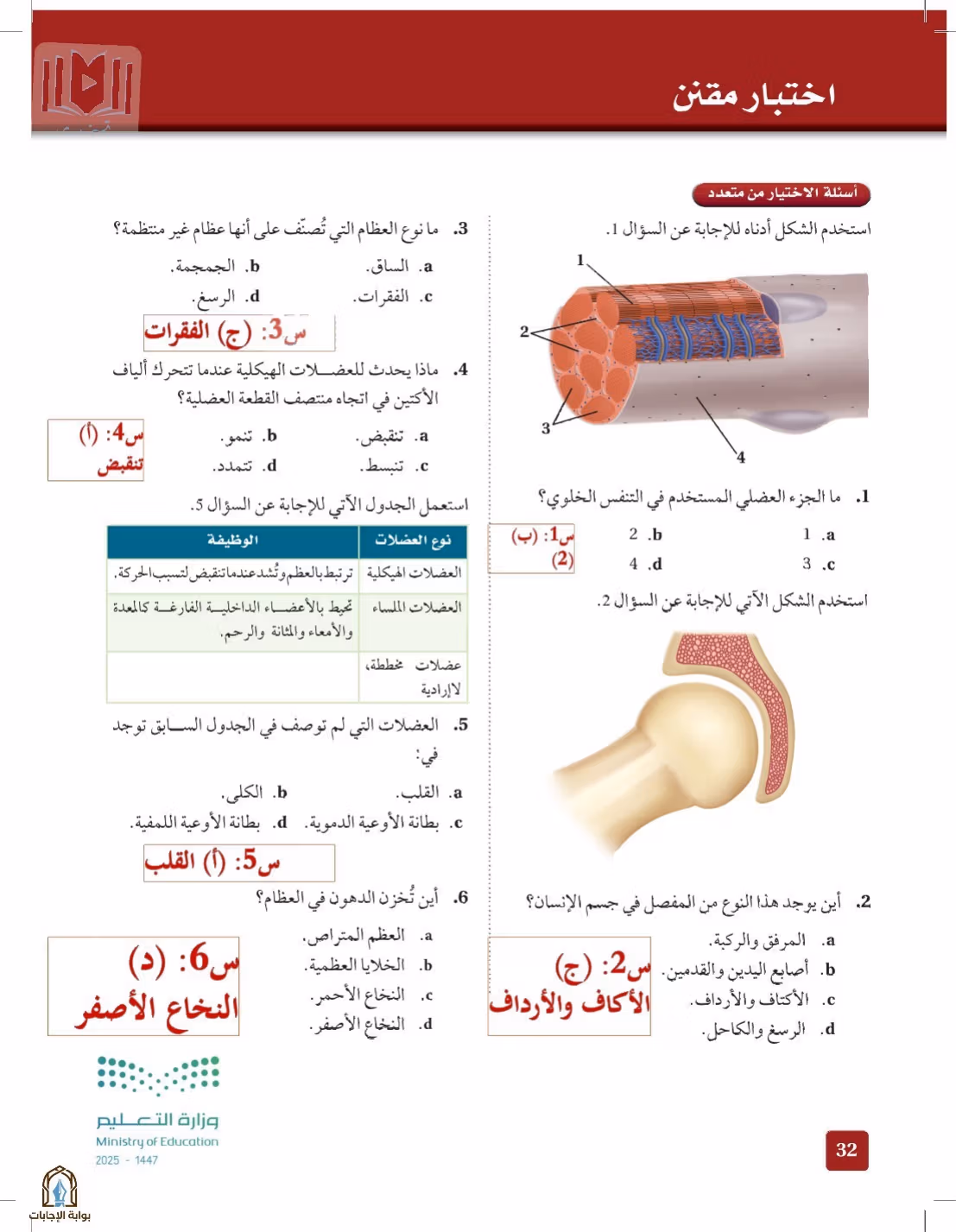 صفحة 32