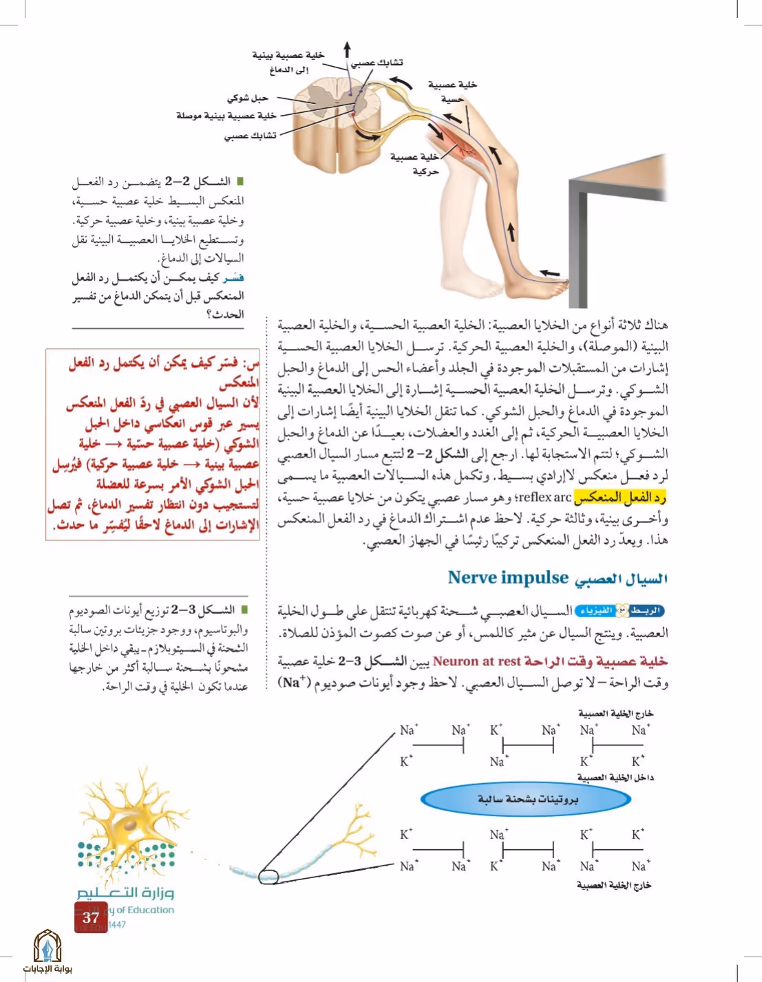 صفحة 37