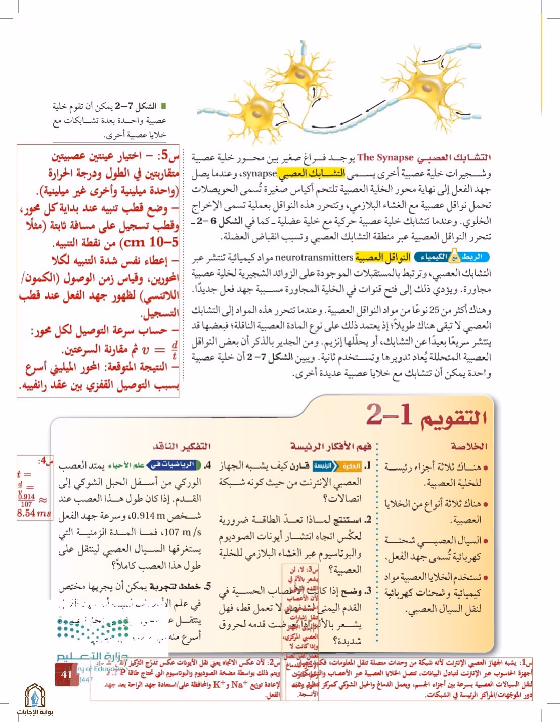 صفحة 41