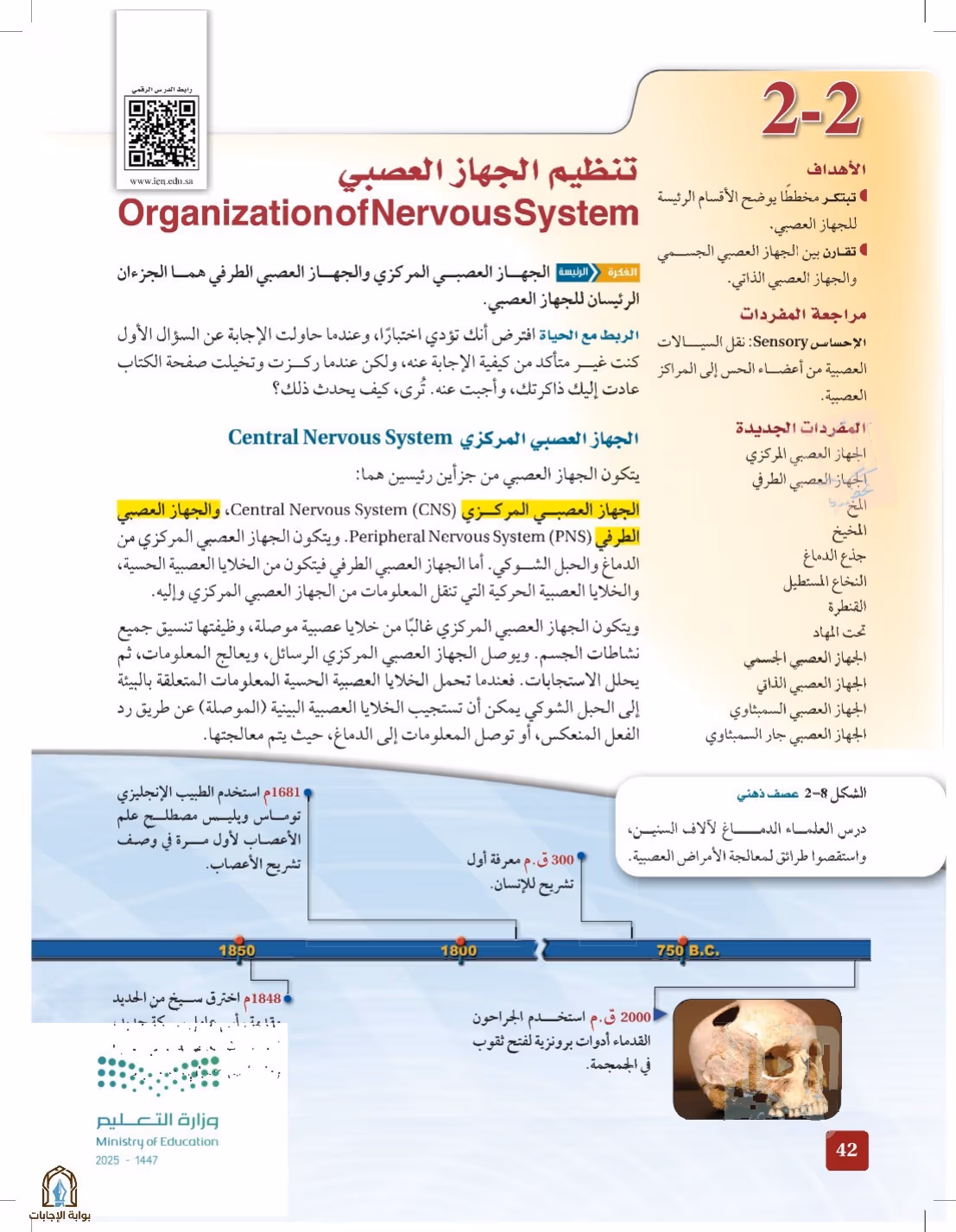 صفحة 42