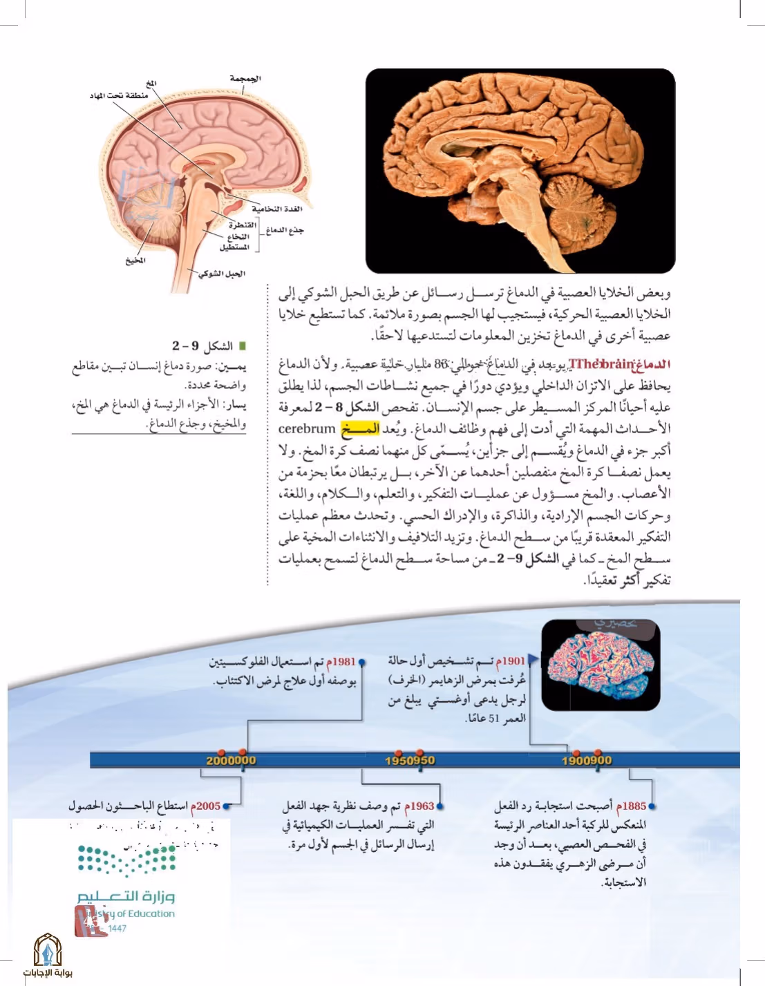 صفحة 43