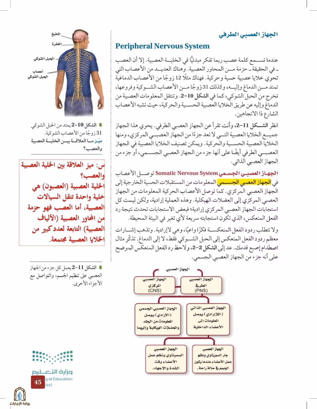 صفحة 45