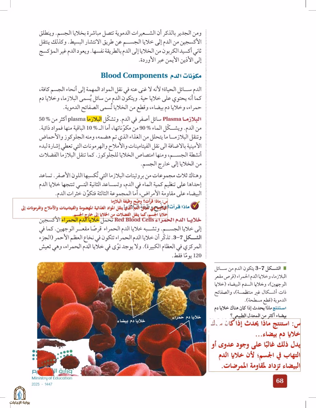 صفحة 68