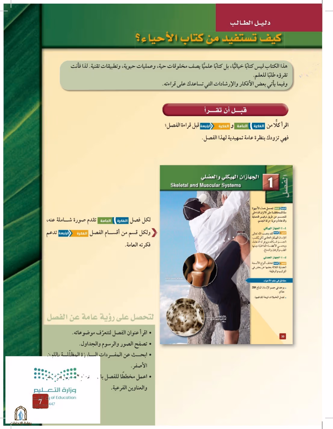صفحة 7