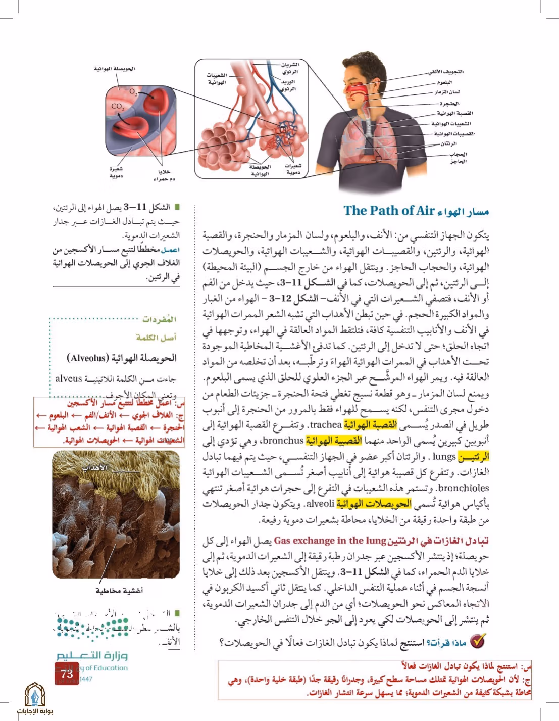 صفحة 73
