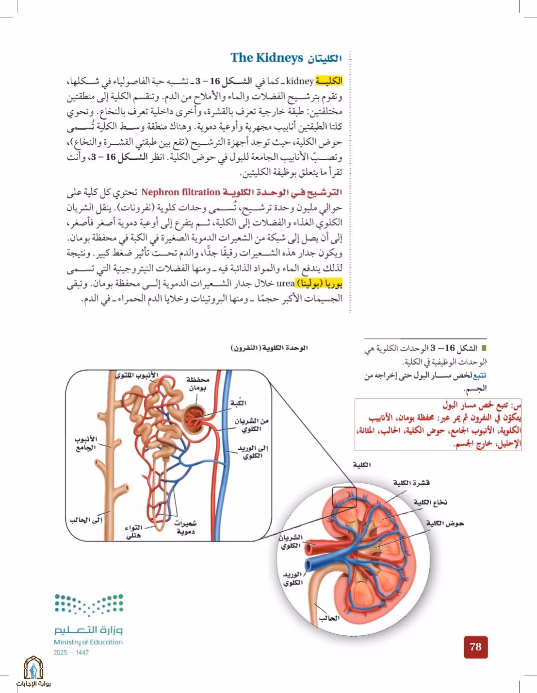 صفحة 78