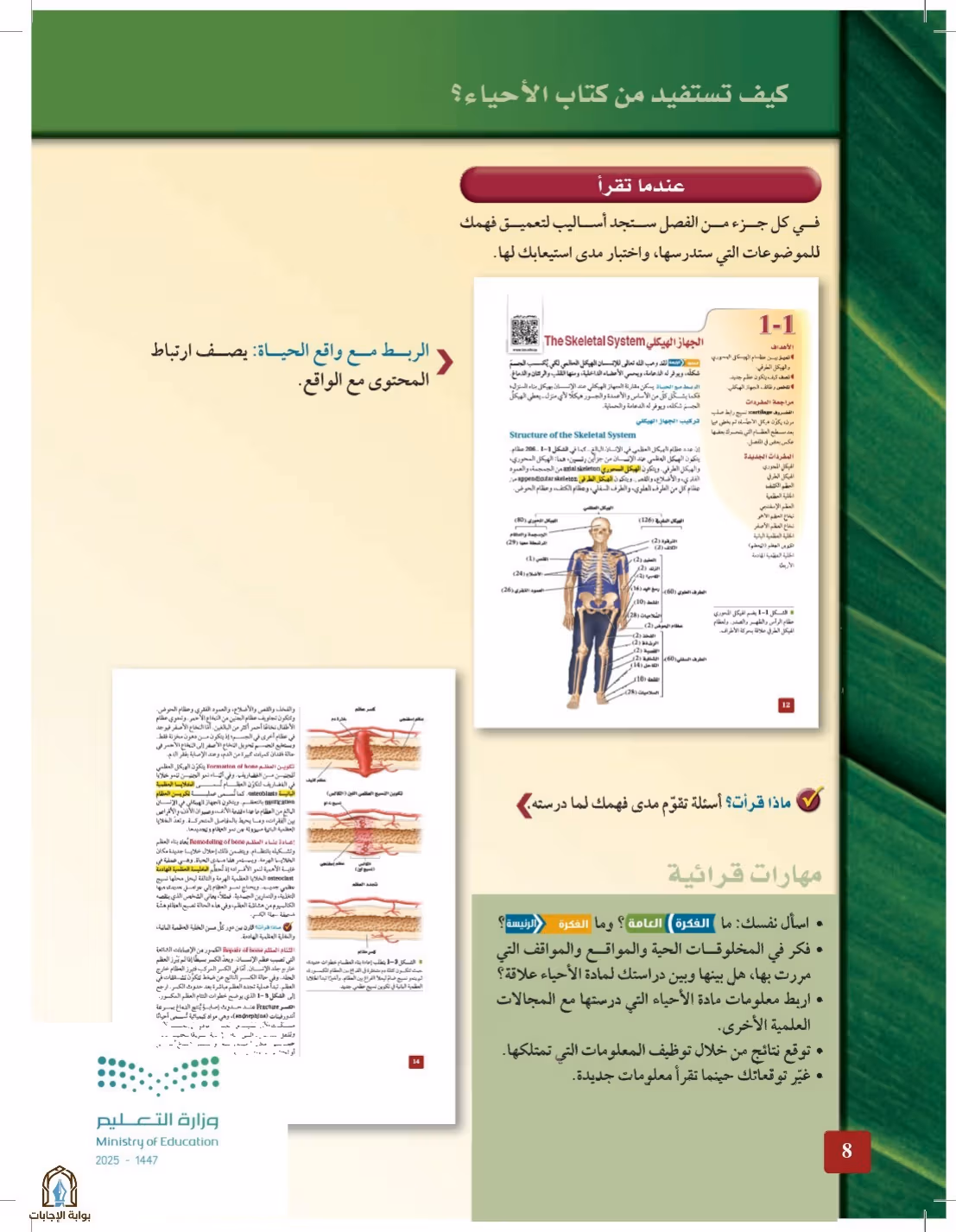 صفحة 8