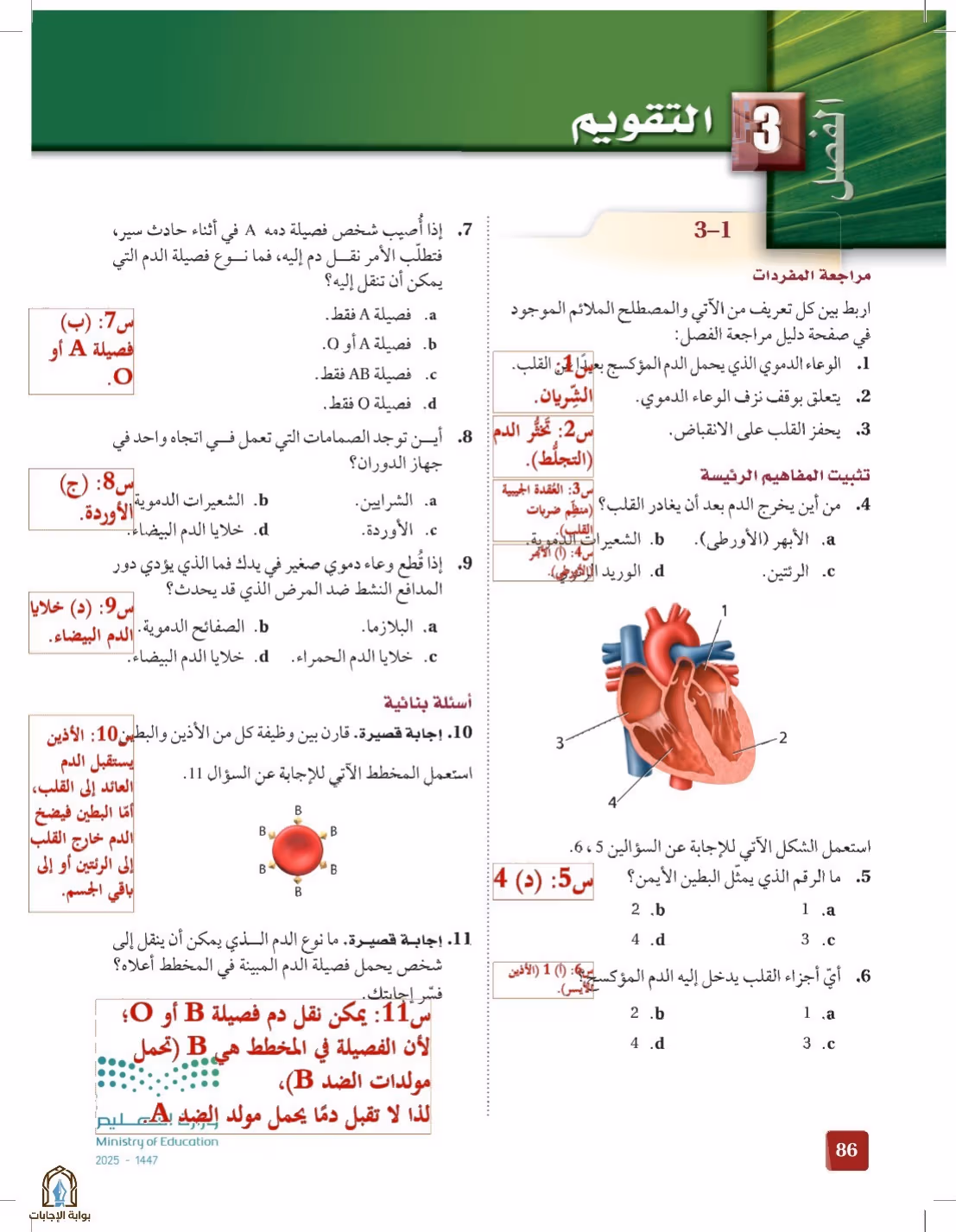 صفحة 86