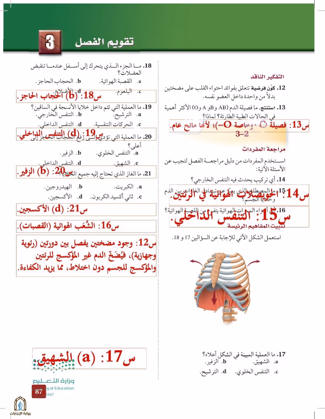صفحة 87