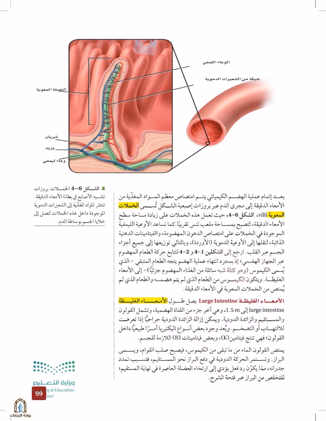 صفحة 99