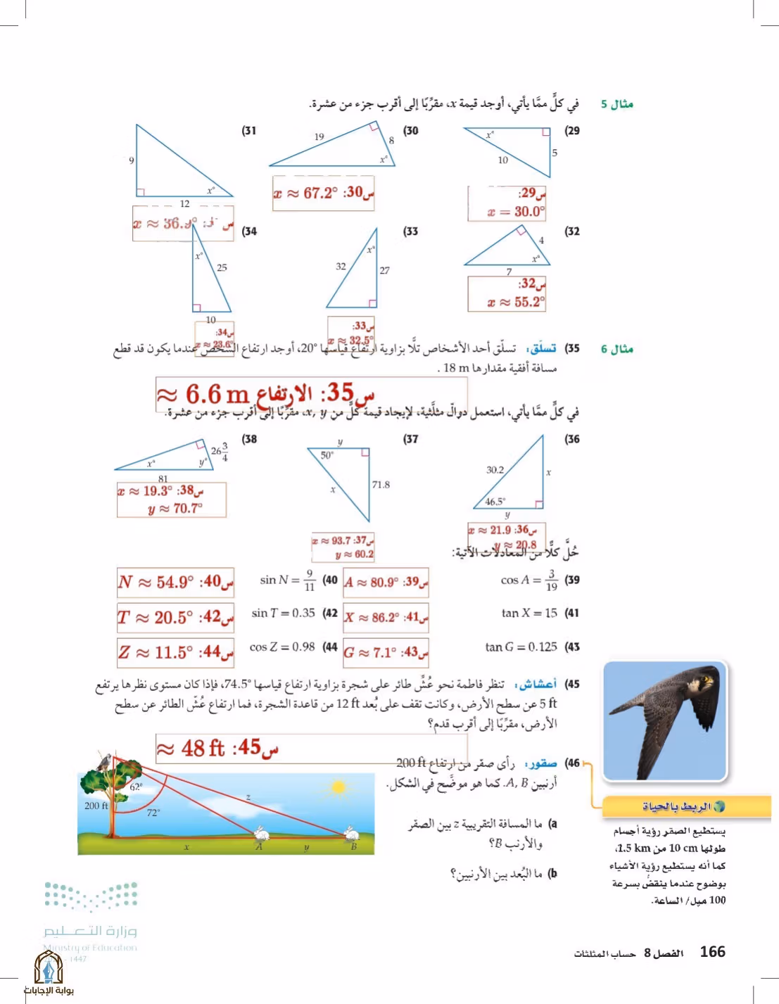 صفحة 166
