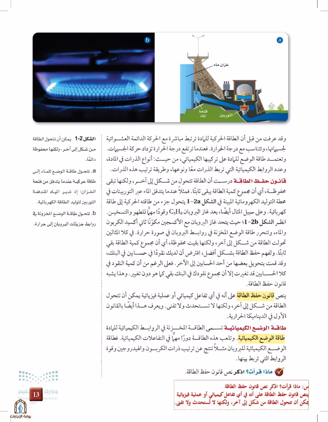 صفحة 13