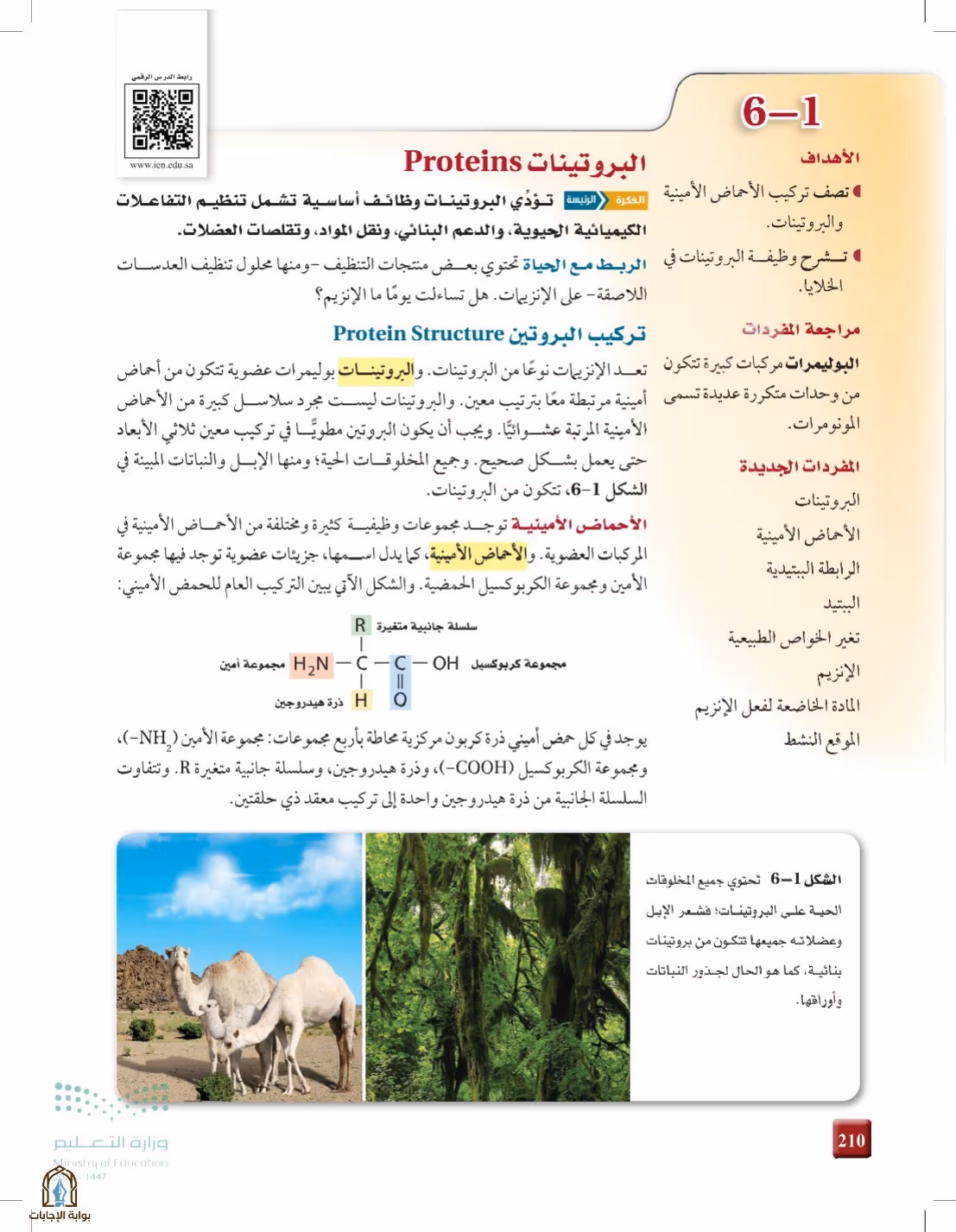 صفحة 210