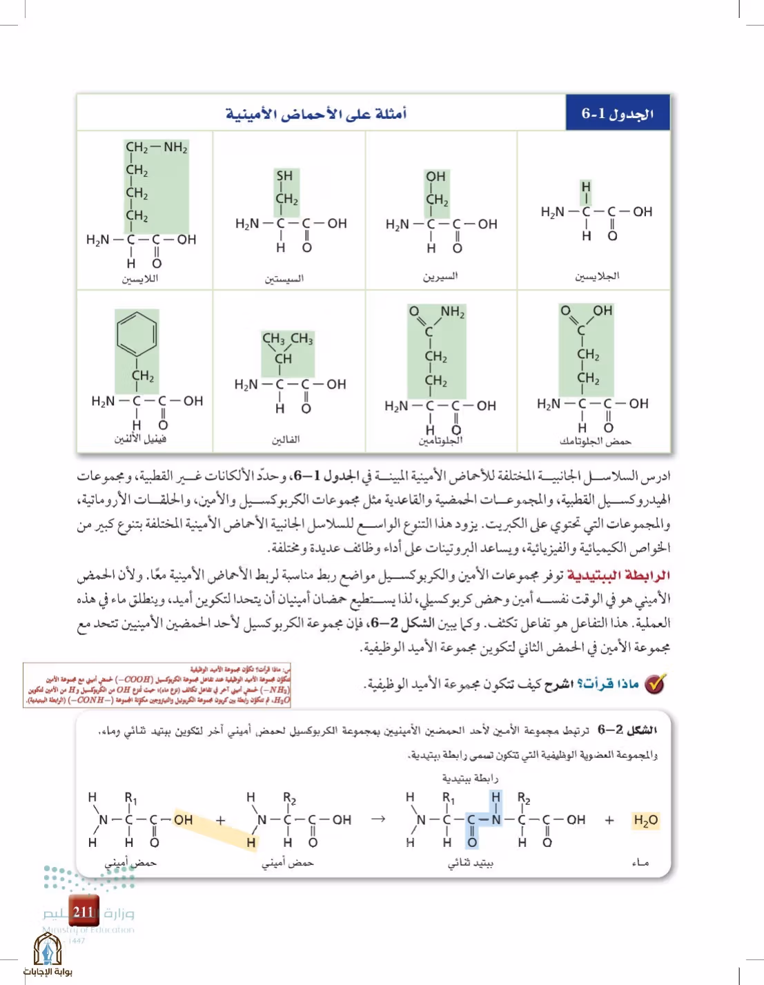 صفحة 211