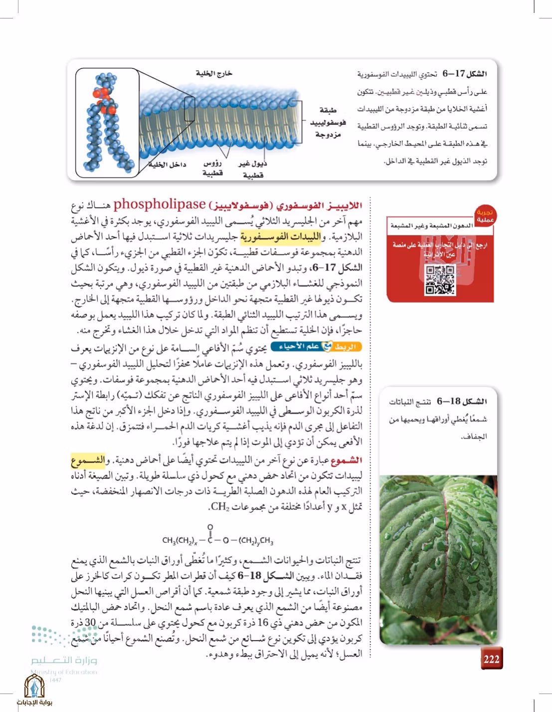 صفحة 222