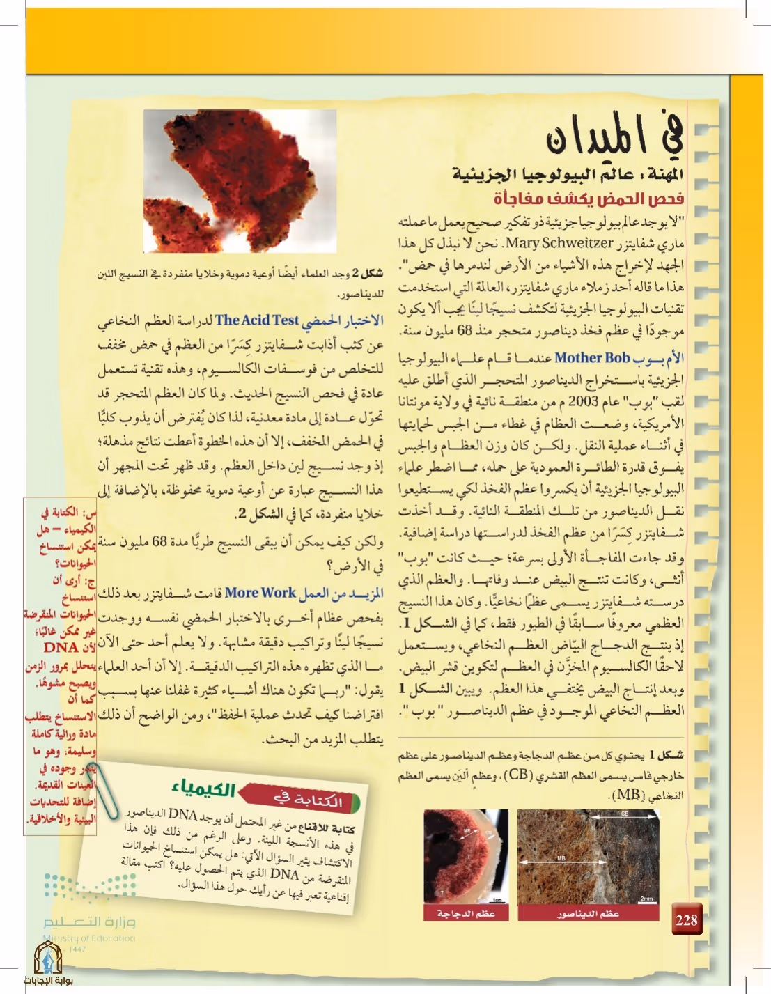 صفحة 228