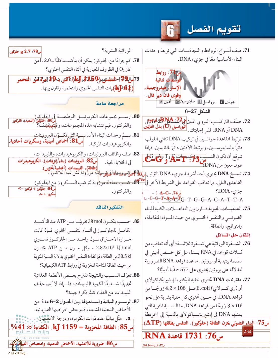 صفحة 234