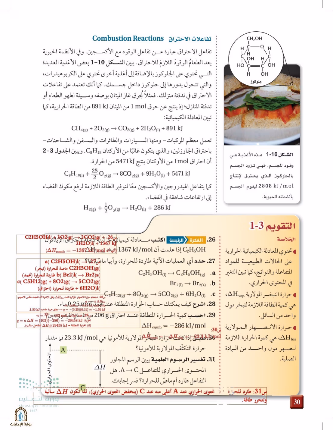 صفحة 30