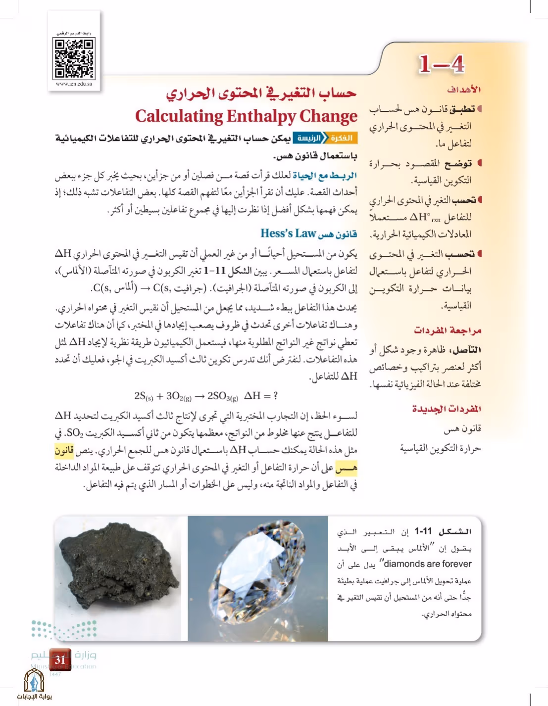 صفحة 31