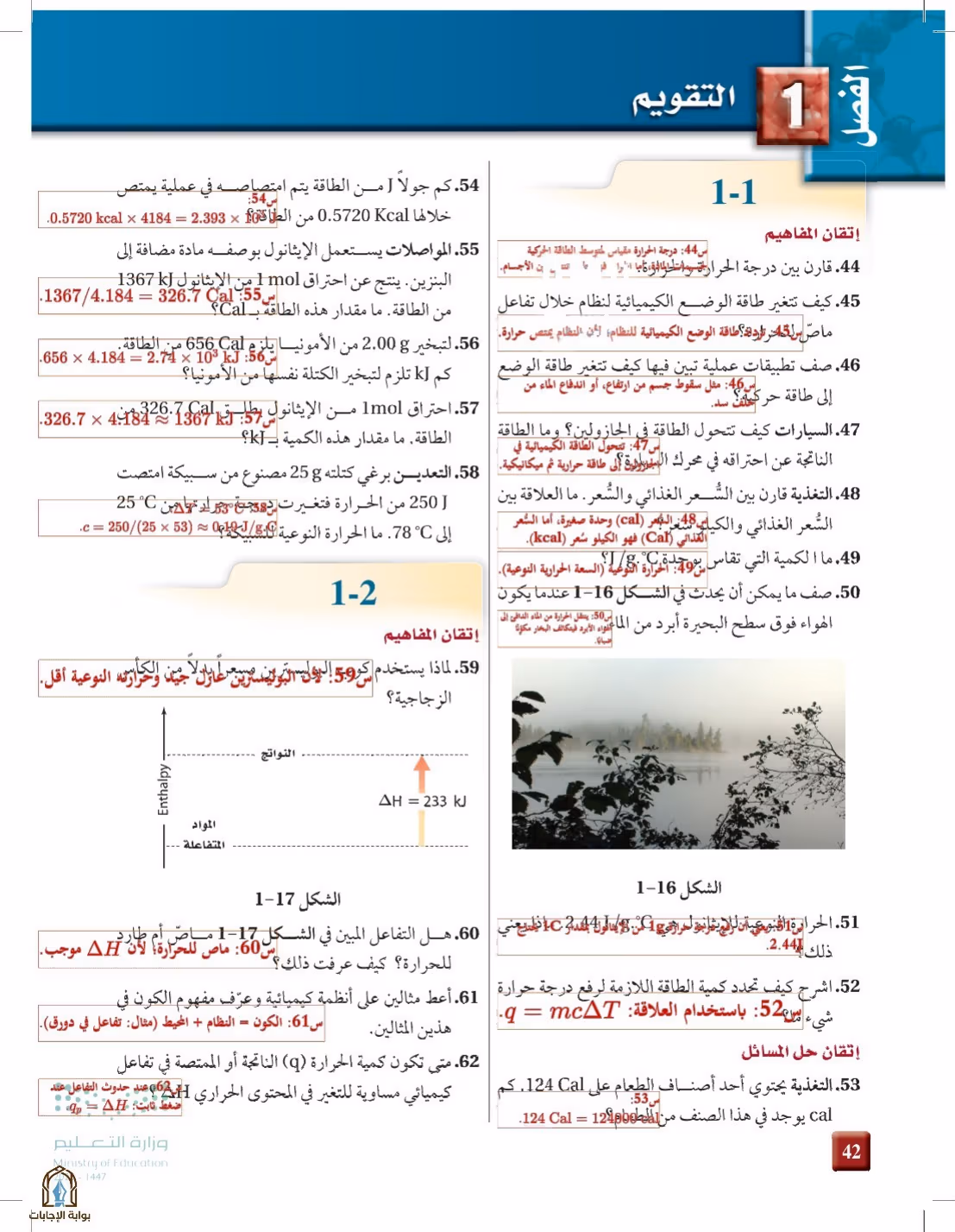 صفحة 42