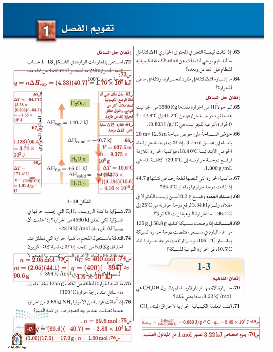 صفحة 43