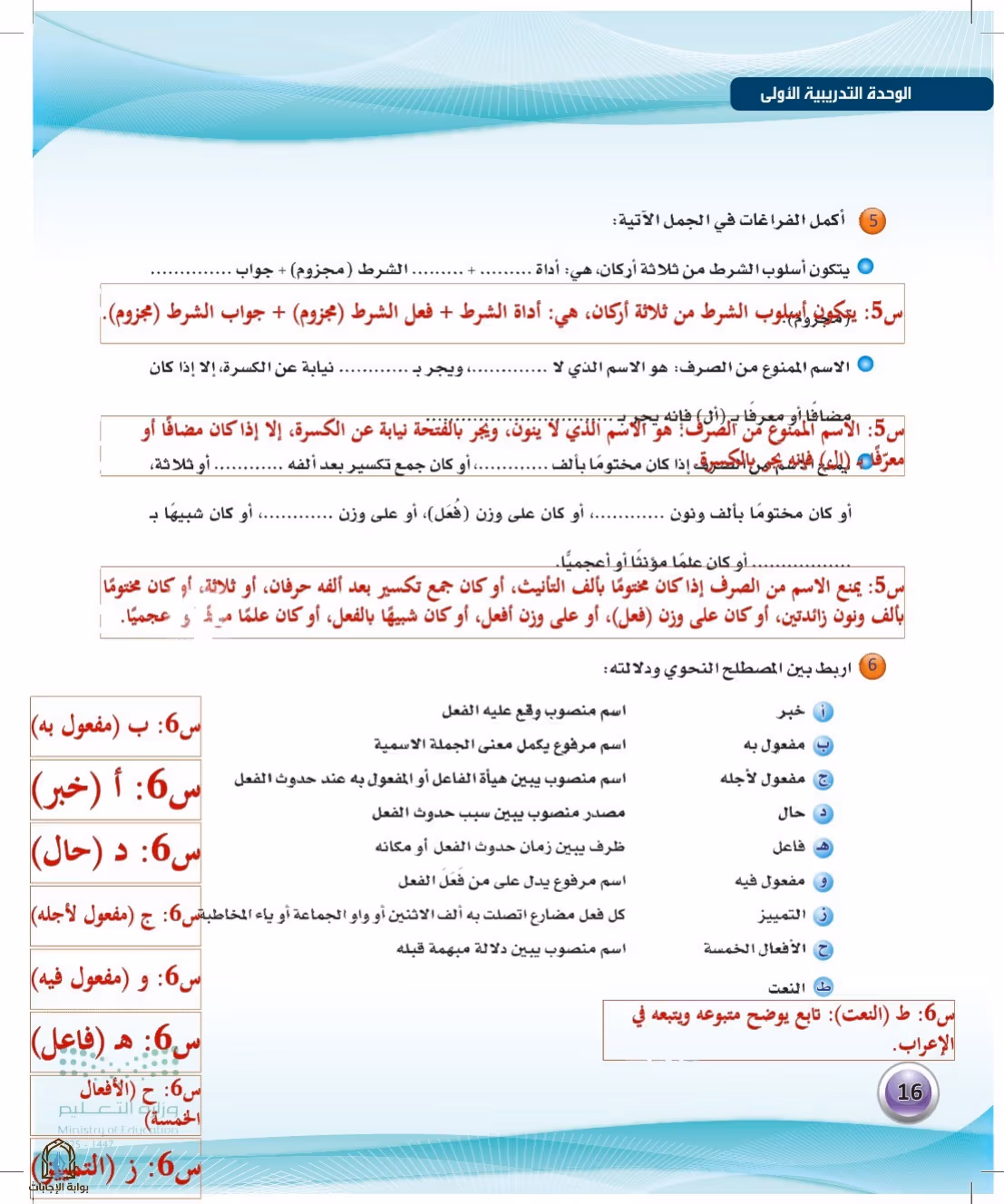صفحة 16