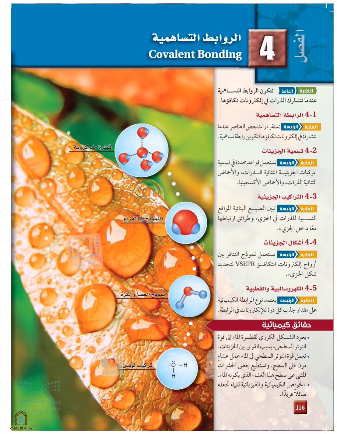 صفحة 116
