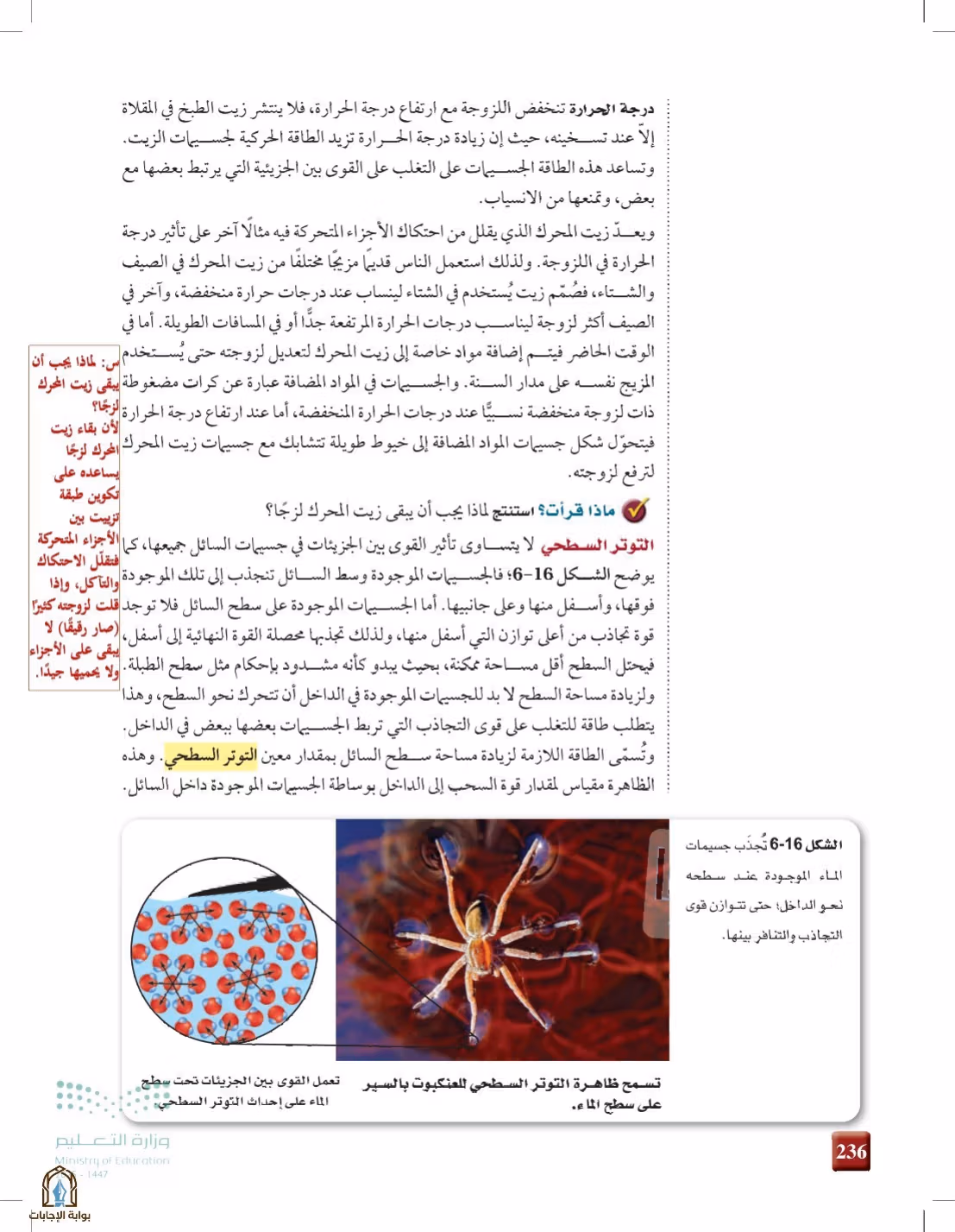 صفحة 236