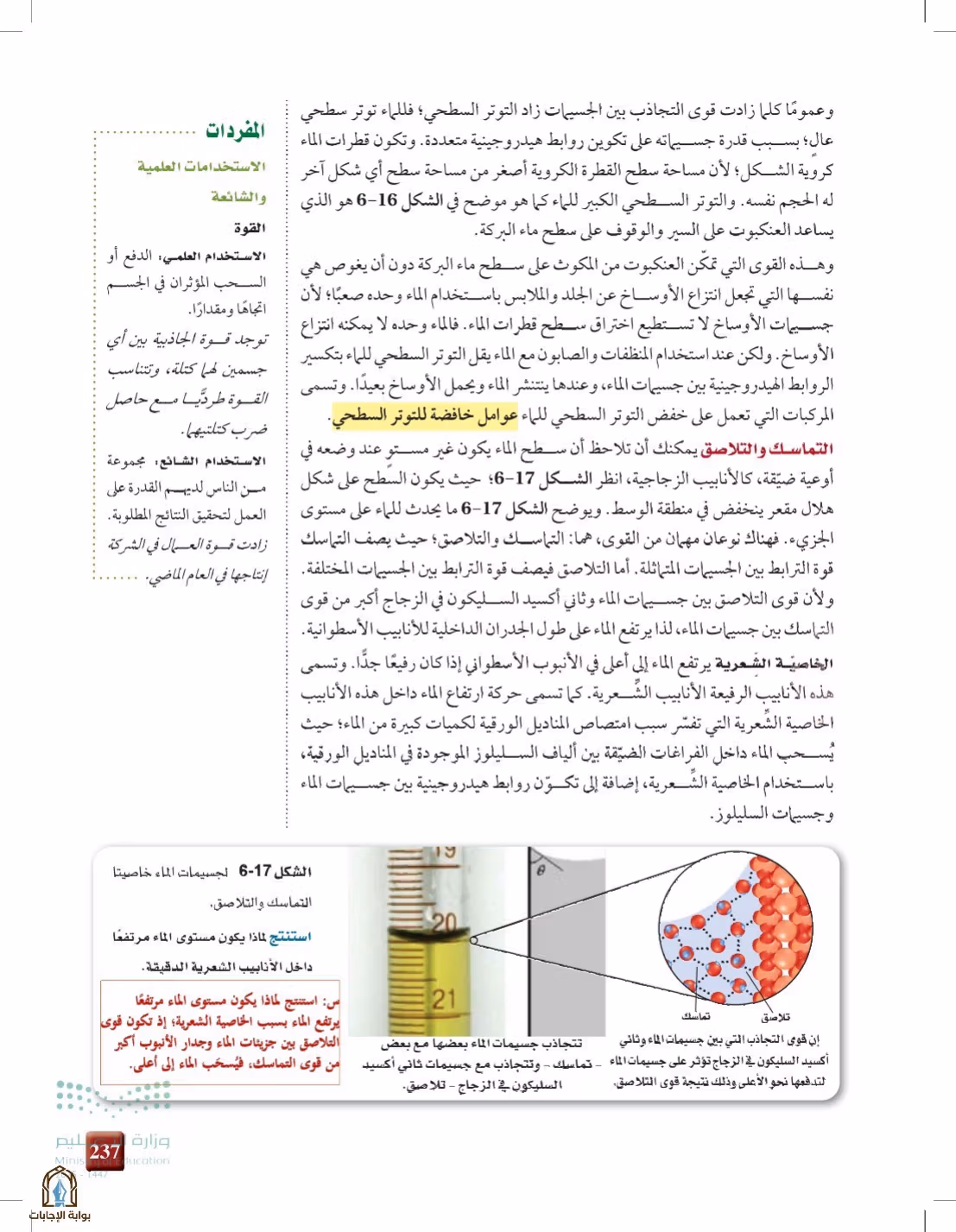 صفحة 237