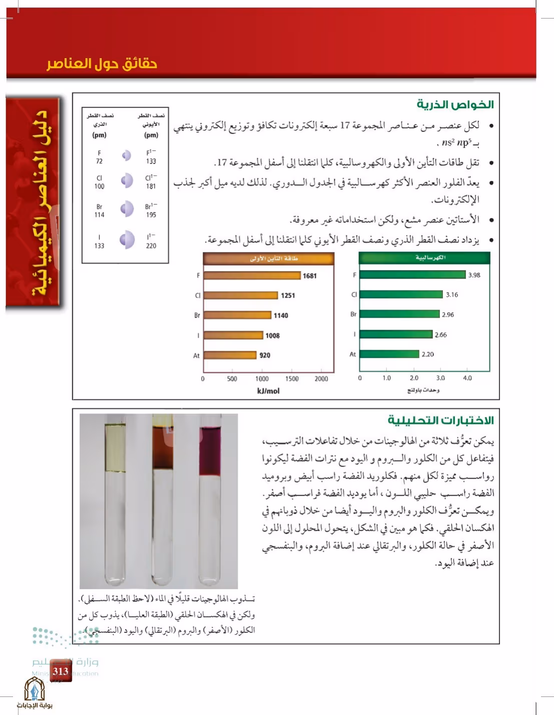 صفحة 313