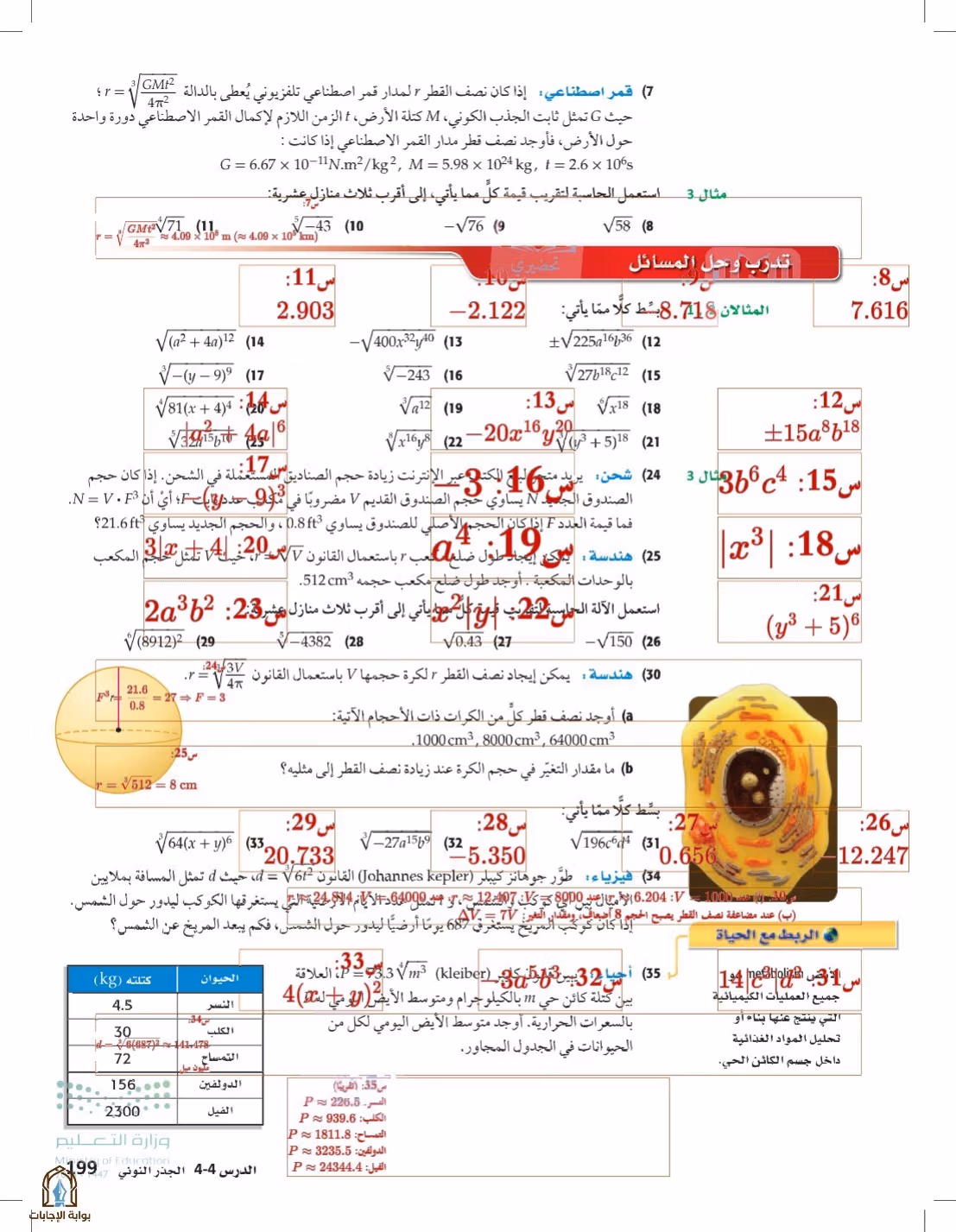 صفحة 199