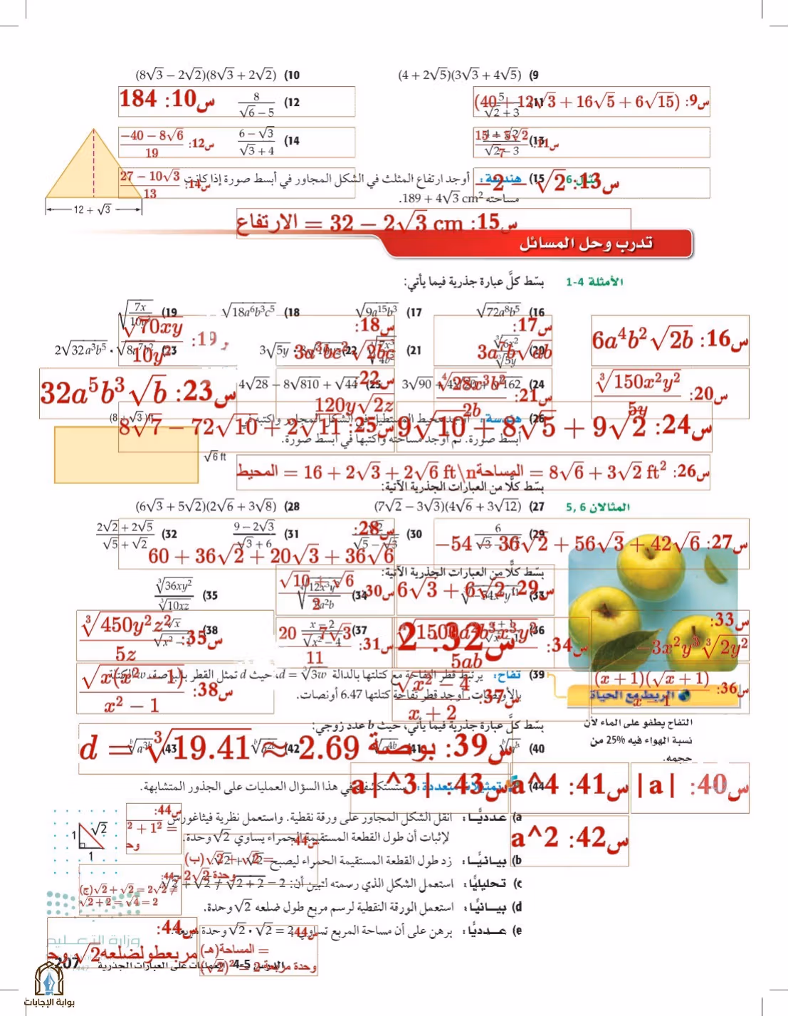 صفحة 207