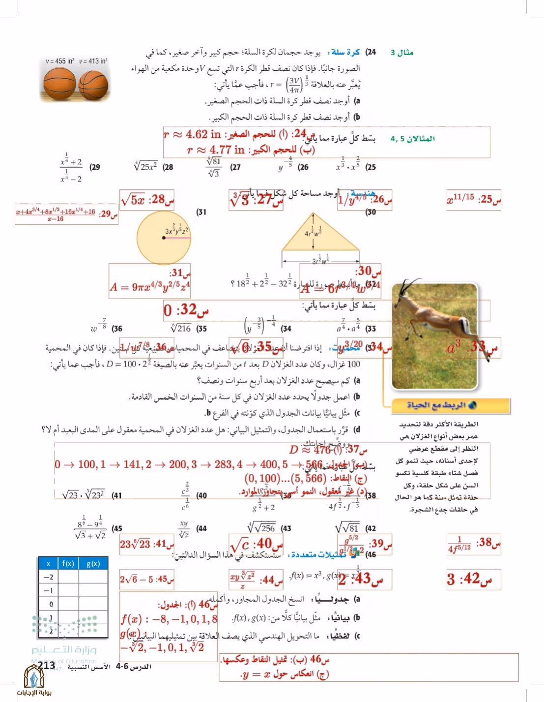 صفحة 213