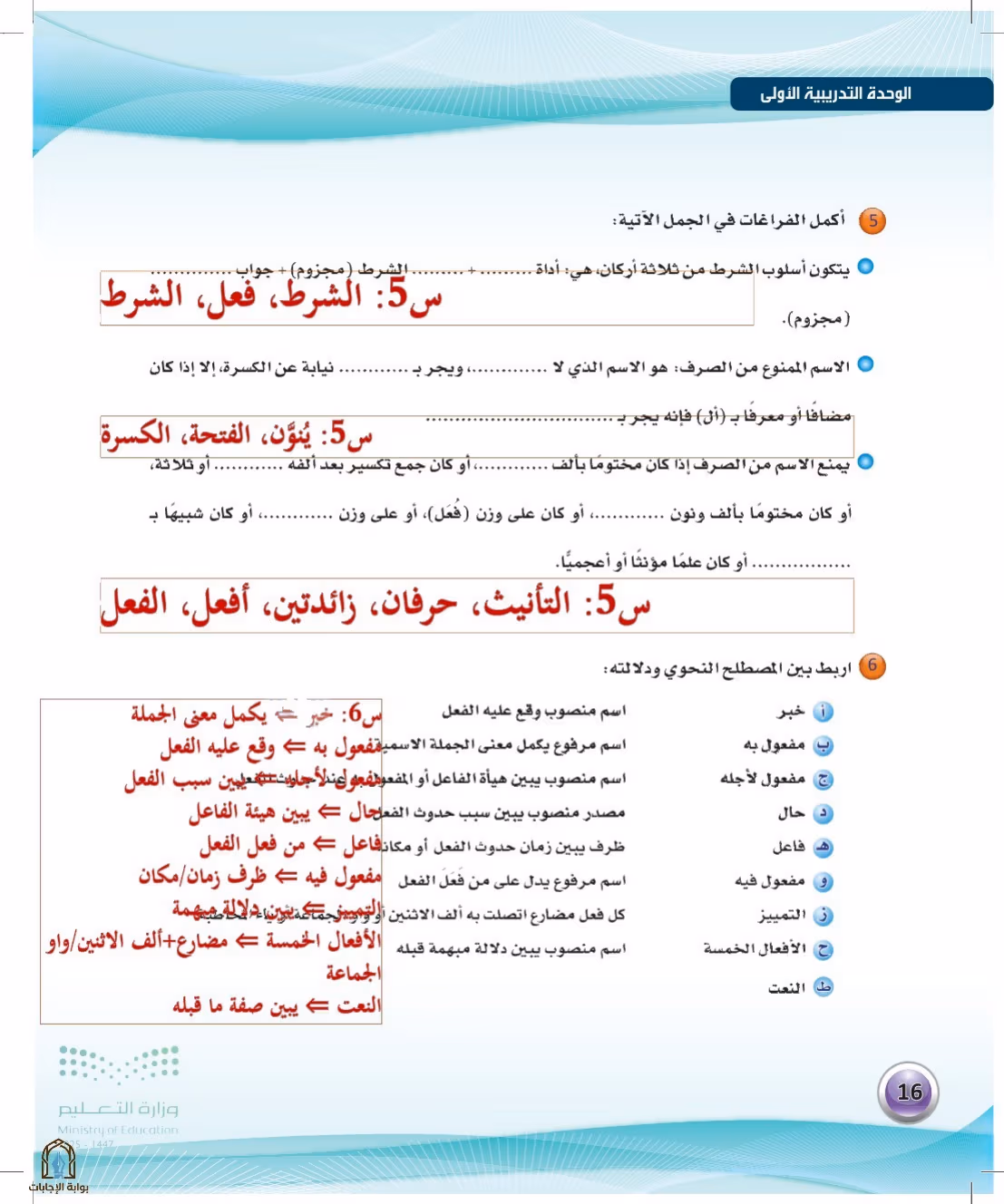 صفحة 16