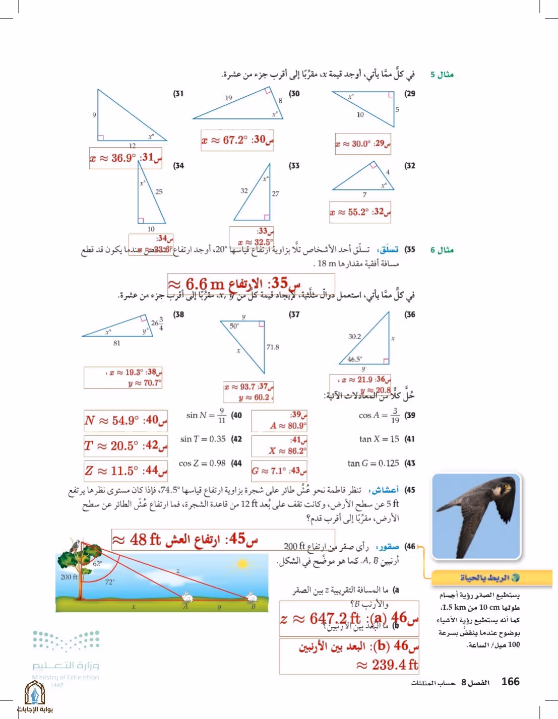 صفحة 166