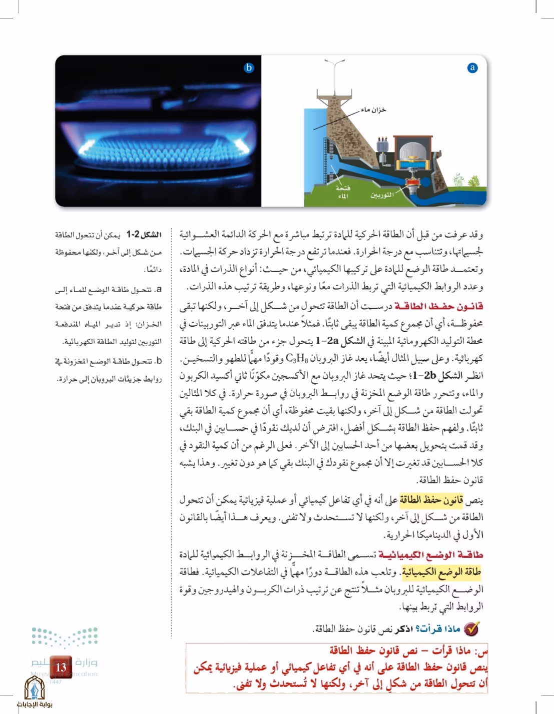 صفحة 13
