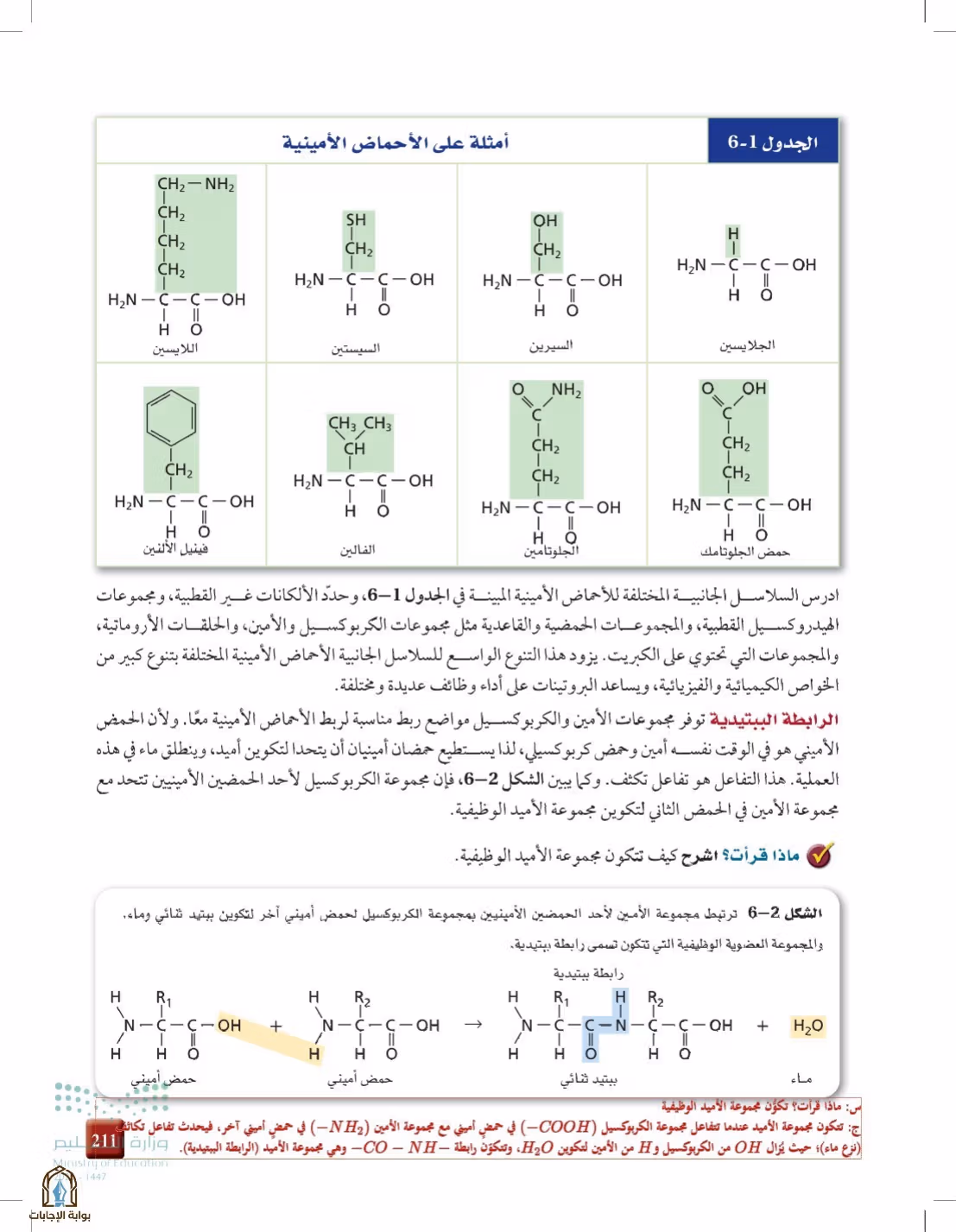 صفحة 211