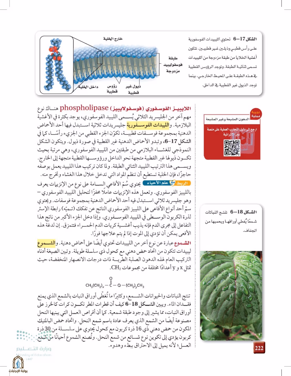 صفحة 222