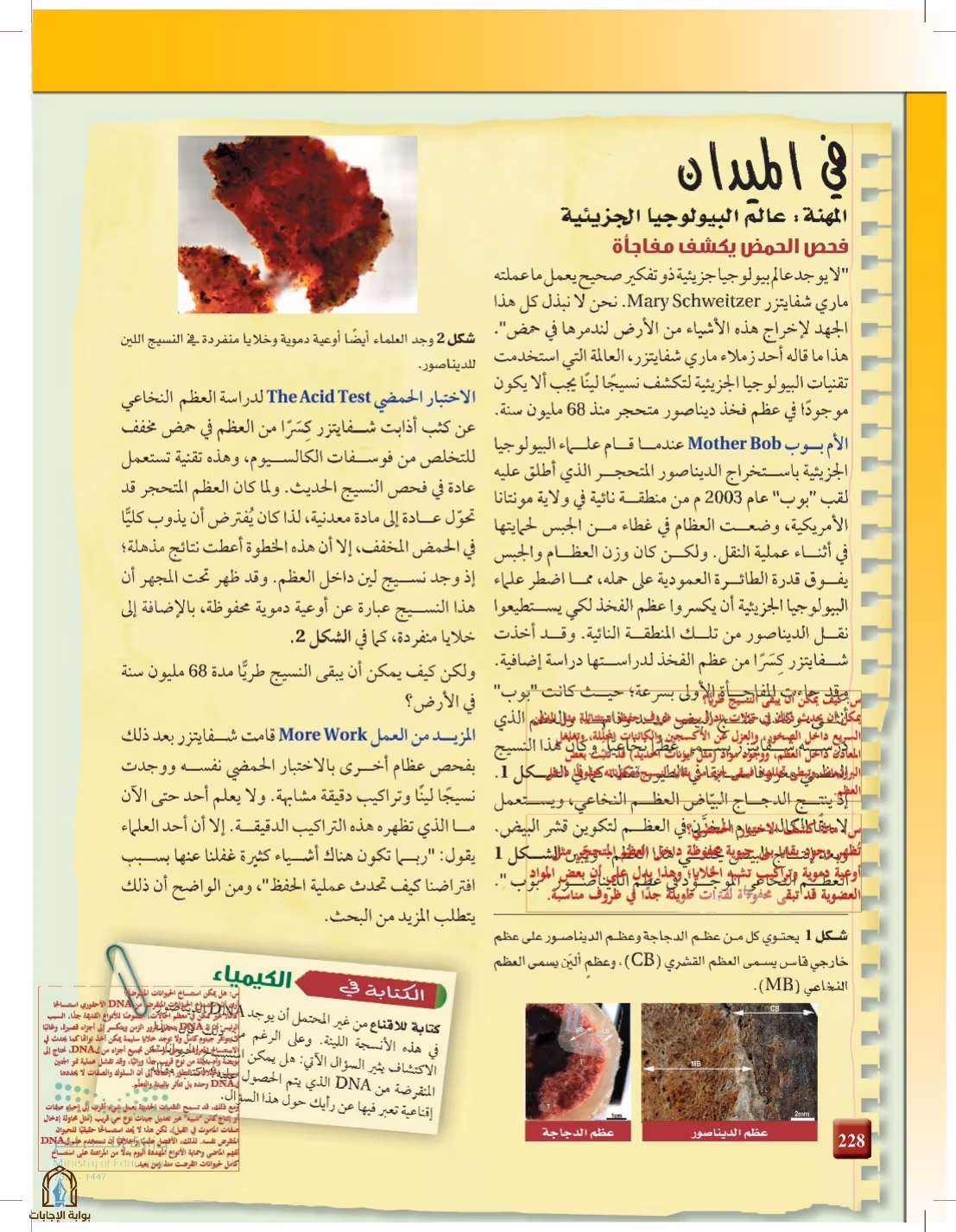 صفحة 228