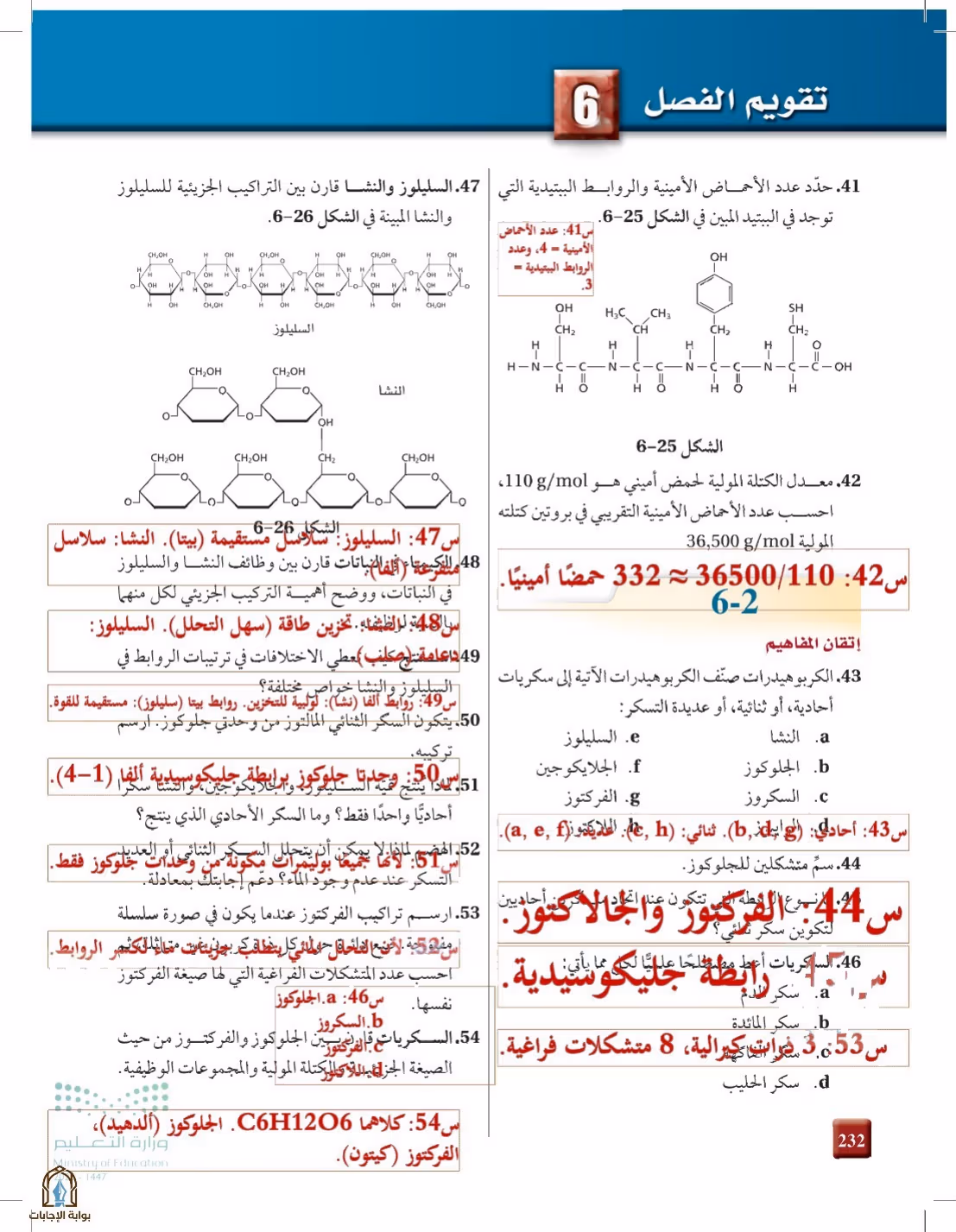 صفحة 232