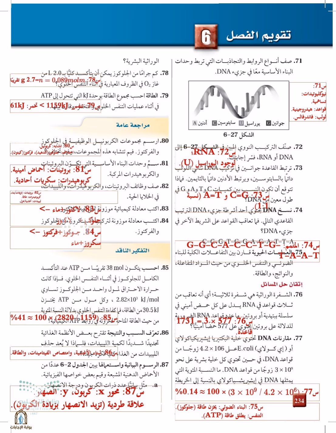 صفحة 234
