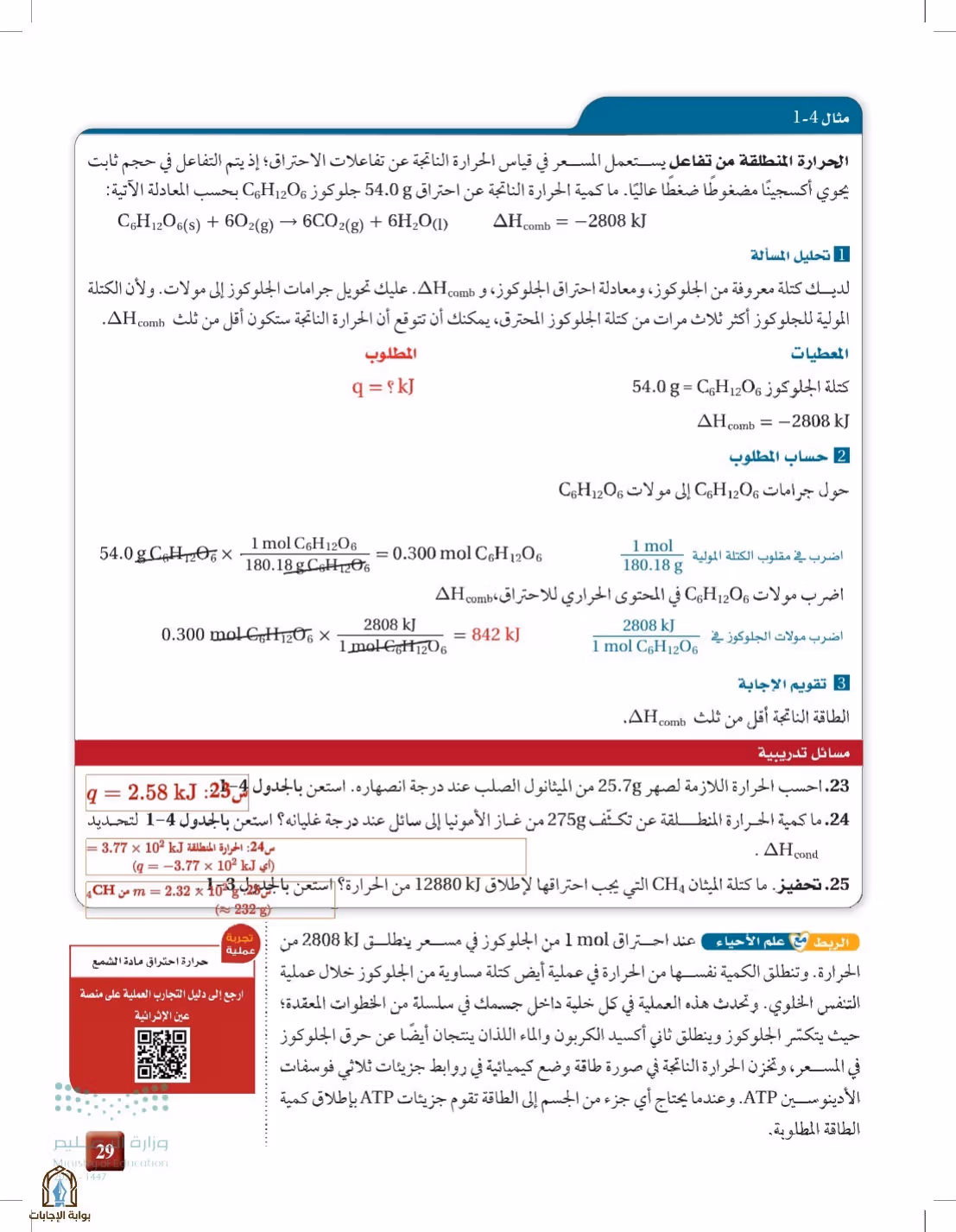 صفحة 29